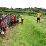 Visit to paddy field